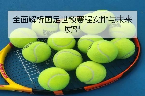 全面解析国足世预赛程安排与未来展望 - MKSports