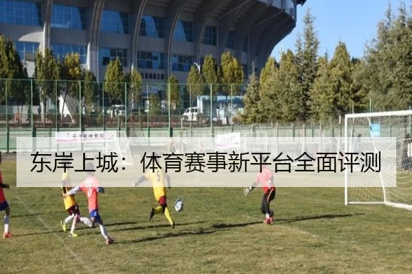 东岸上城：体育赛事新平台全面评测 - MKSports